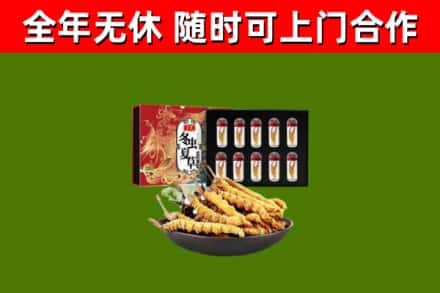 思茅回收冬虫夏草价格
